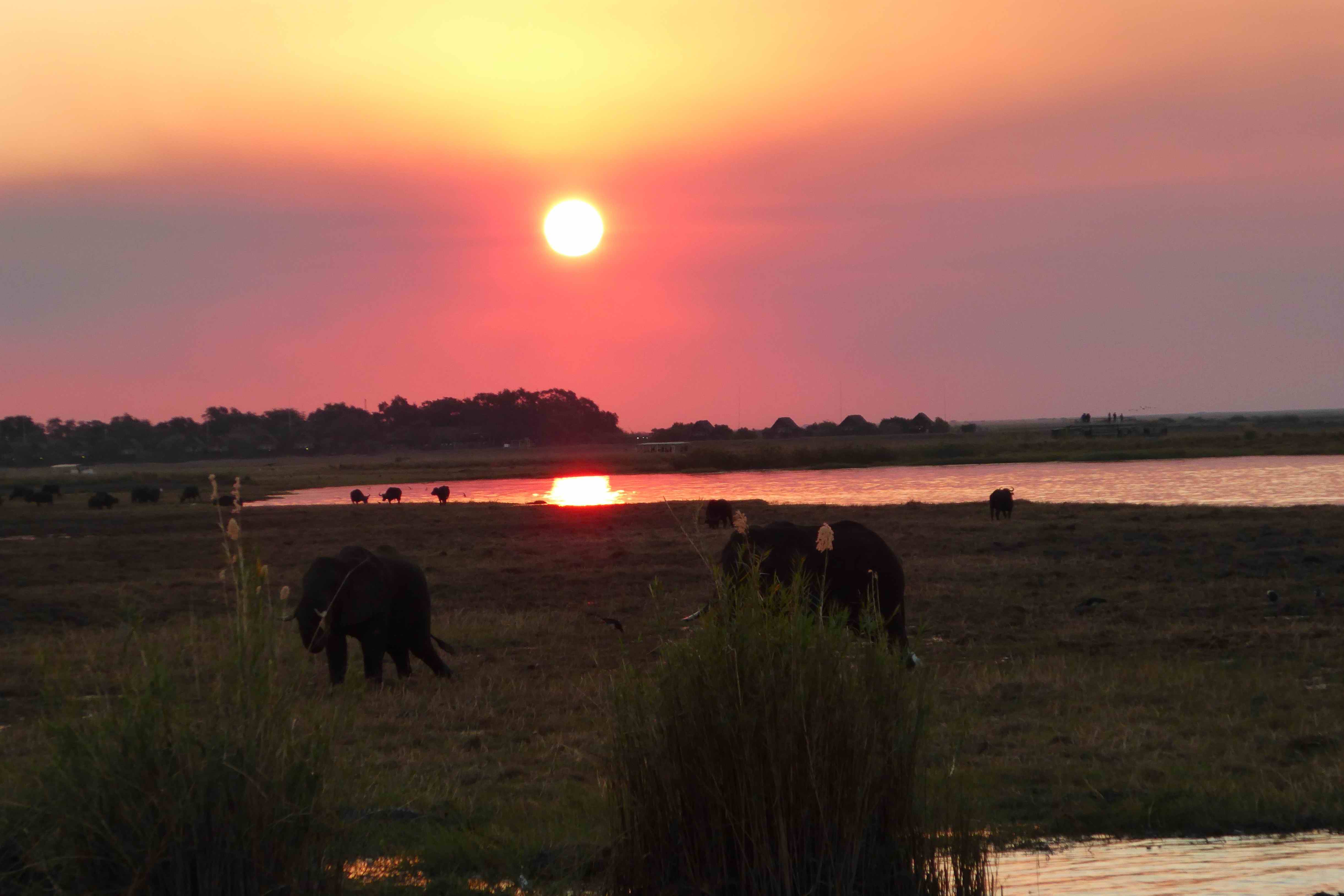 Sonnenuntergang Chobe NP Botswanak