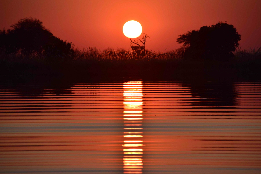 Sonnenuntergang im Okavango Delta Botswanak